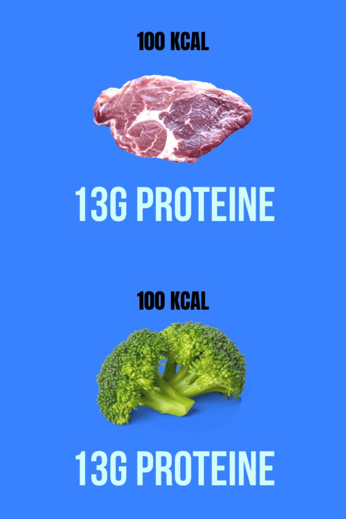 vegetarisch abnehmen protein